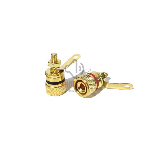 Cọc loa cao cấp bằng đồng mạ vàng ( 1 cặp 2 cái )