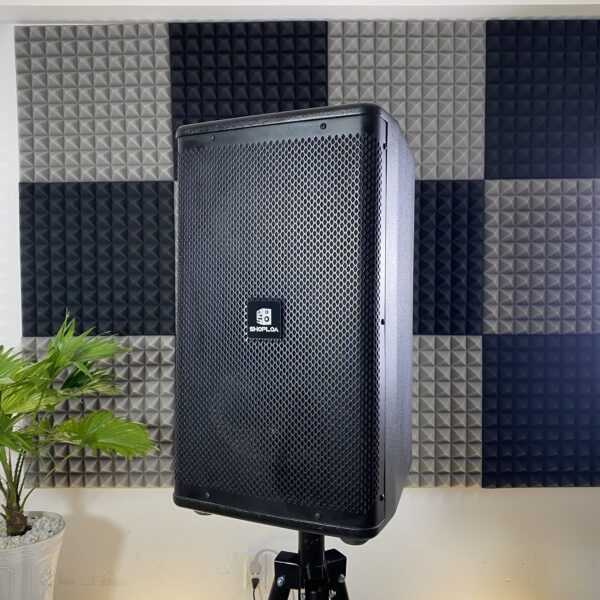 Loa Karaoke SL-KW200 ( Loa Đồng Trục Kenwood KFC-HQ718 )